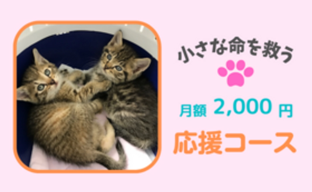 毎月応援！2,000円コース