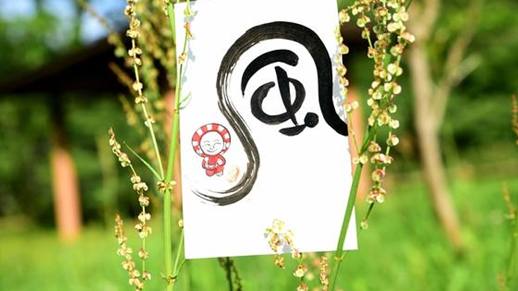 パリで心書＆イラスト作品を出展！宮崎県西諸の魅力を伝えたい。