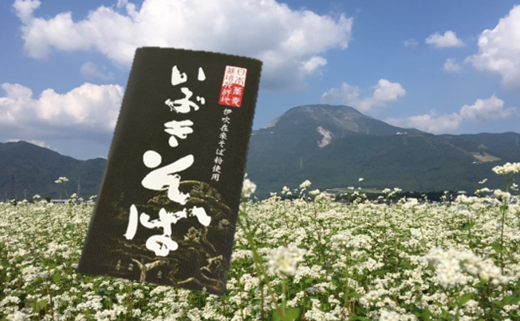 伊吹在来そば(乾麺)