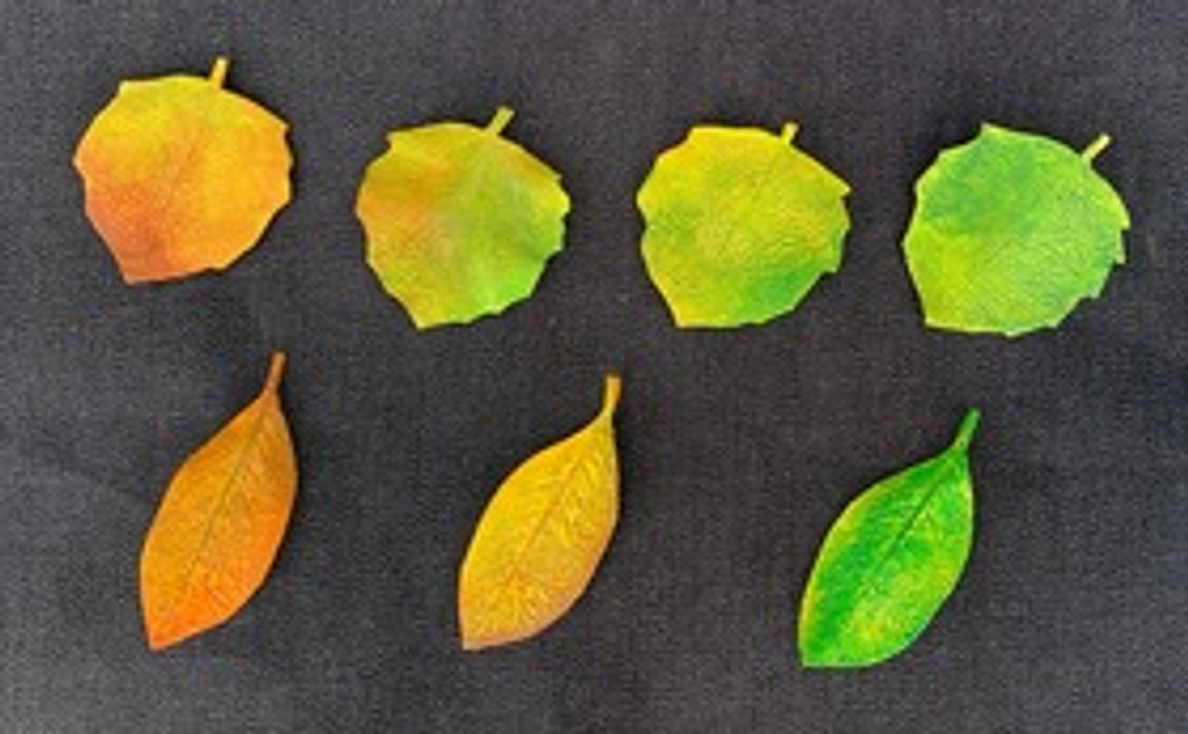 革製の葉っぱ型ブローチバッジ