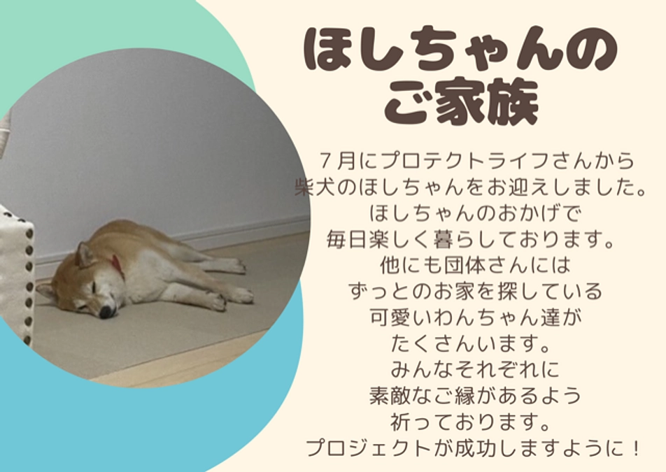 ほしちゃんのご家族からの応援メッセージ