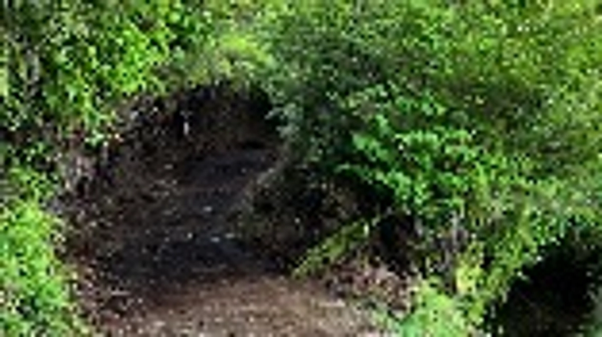 4/28（日）路網整備