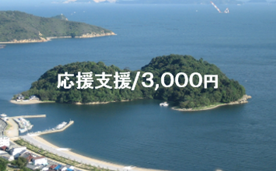 応援支援/3,000円