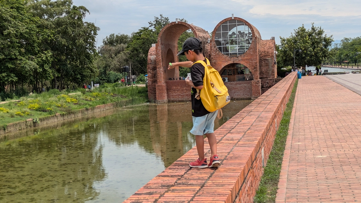 蓮を植えることができるか？