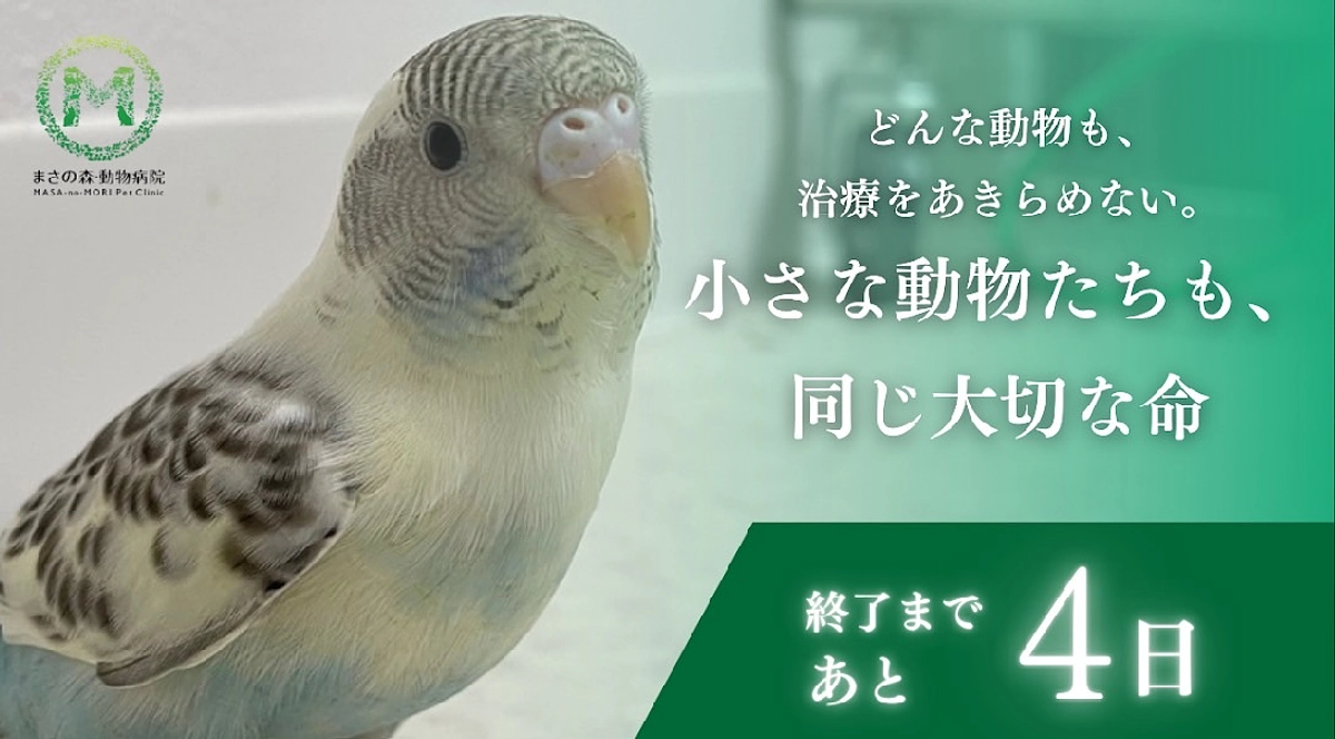 【ラストスパート】温かい応援メッセージが励みになります！～プロジェクト終了まで【あと4日】～