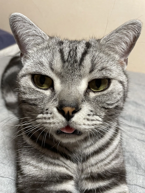 本日の銀時(投薬残り11日)