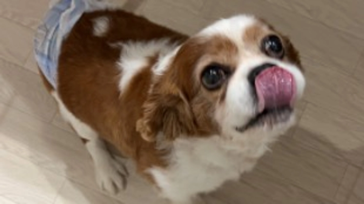 手術まで残り3日となりました。