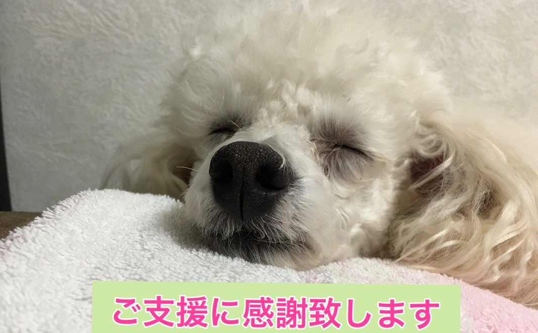 ロンを救いたい2