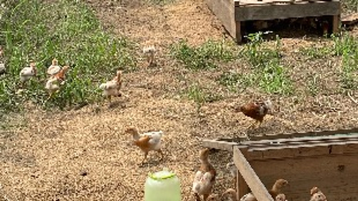 沢山のご支援…