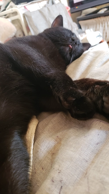 白血病エイズ薬治療