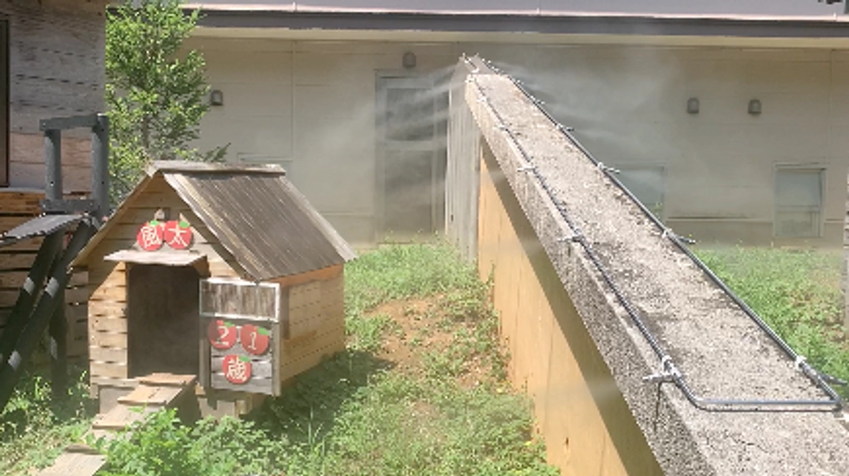 ついに、ミストつきました！