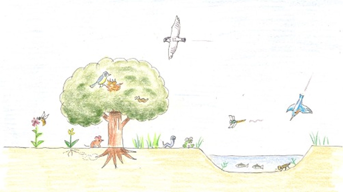 4/25前売り券、宮地楽器ホールでも販売中！｜トークセッション「はけの緑は誰のもの？」