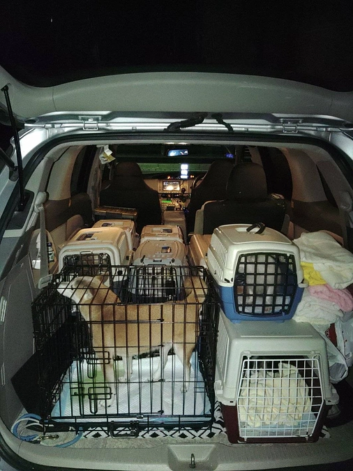 昨日レスキュー