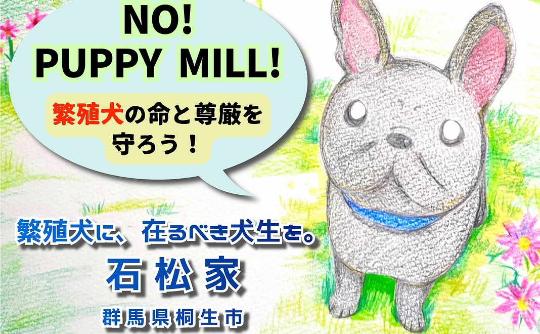 冊子もしくはマグネットステッカー送付①