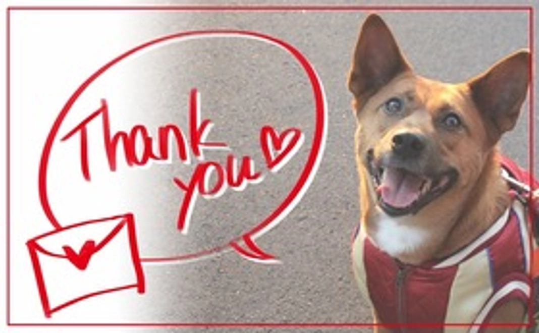 〈3,000円〉コース