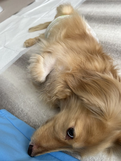 残り１週間となりました