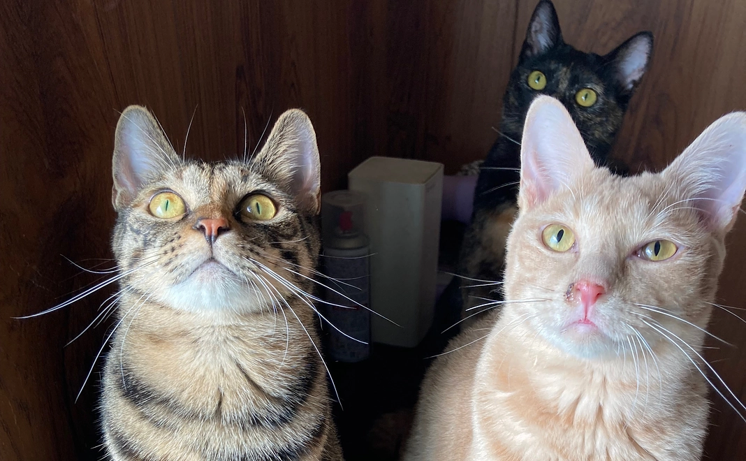 お礼のメール(2)