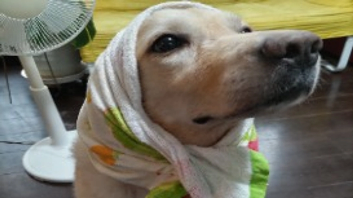 暖かい日でした。