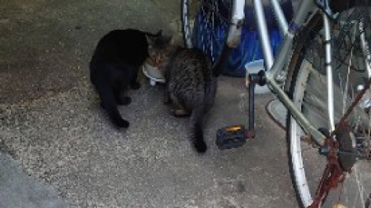 今年一番の寒さかな。