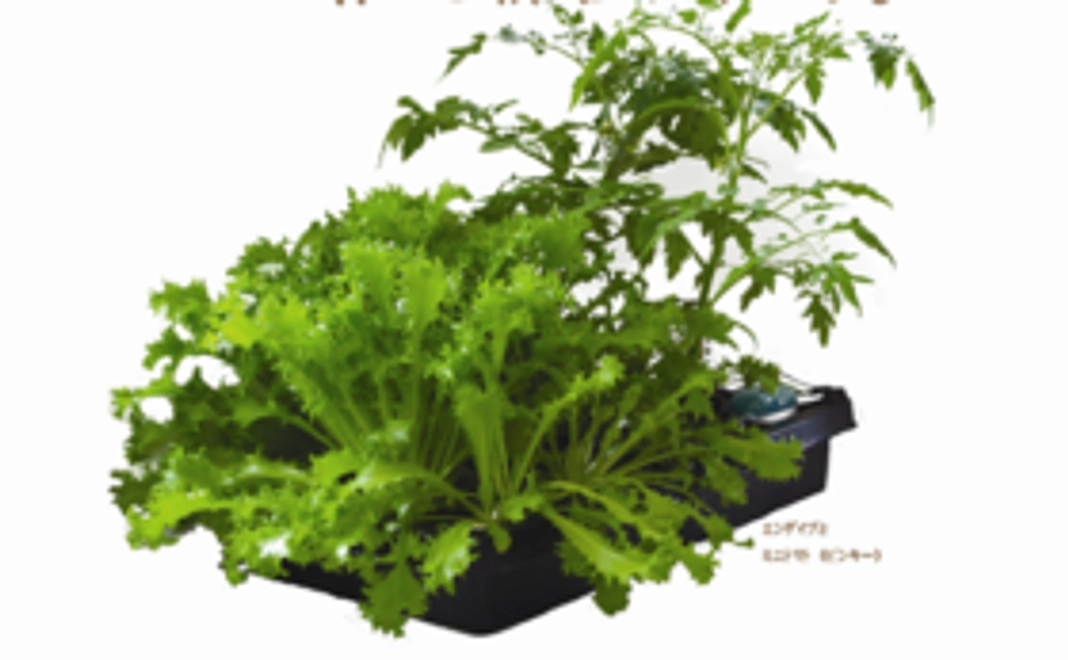 気持ちを込めたお礼メッセージと写真付き報告を！