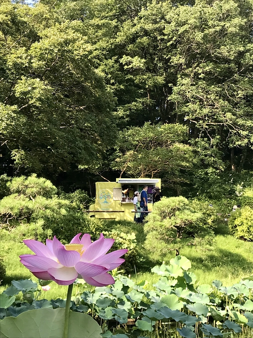 【2023年7月の活動報告】