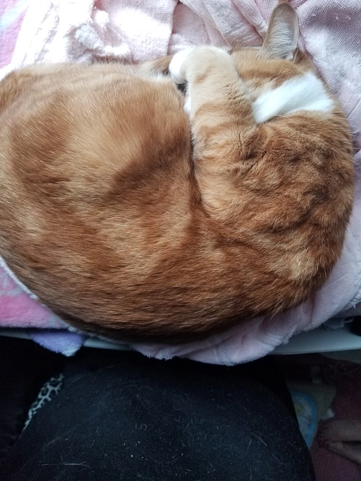 寒くなりました～