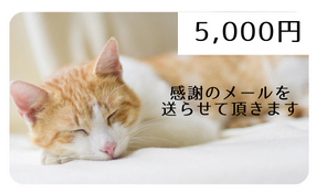 【感謝のメール】5,000円