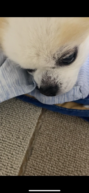 抜糸後4日目‼️🍉