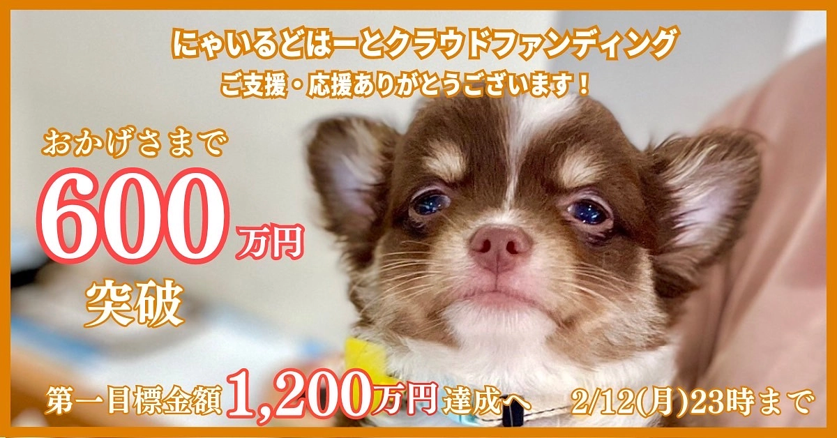 クラファン50%突破し折り返し地点です