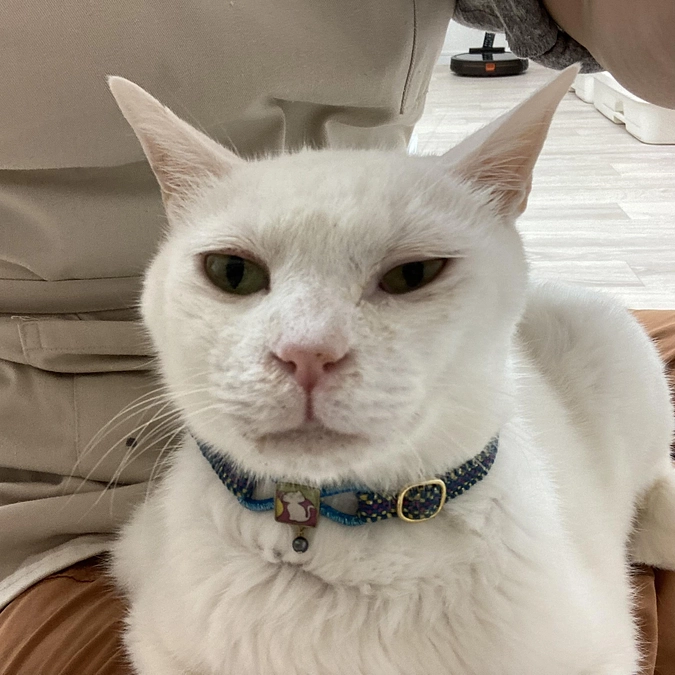 てんてん　ネブライザー頑張ってます！