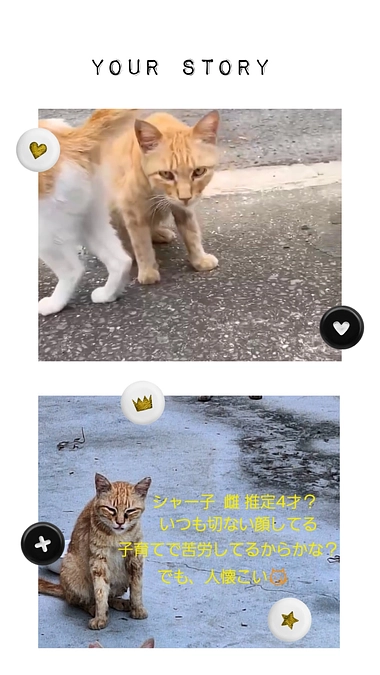 80%到達‼️本当にありがとうございます🙇‍♀️次なる目標90%‼️頑張ります