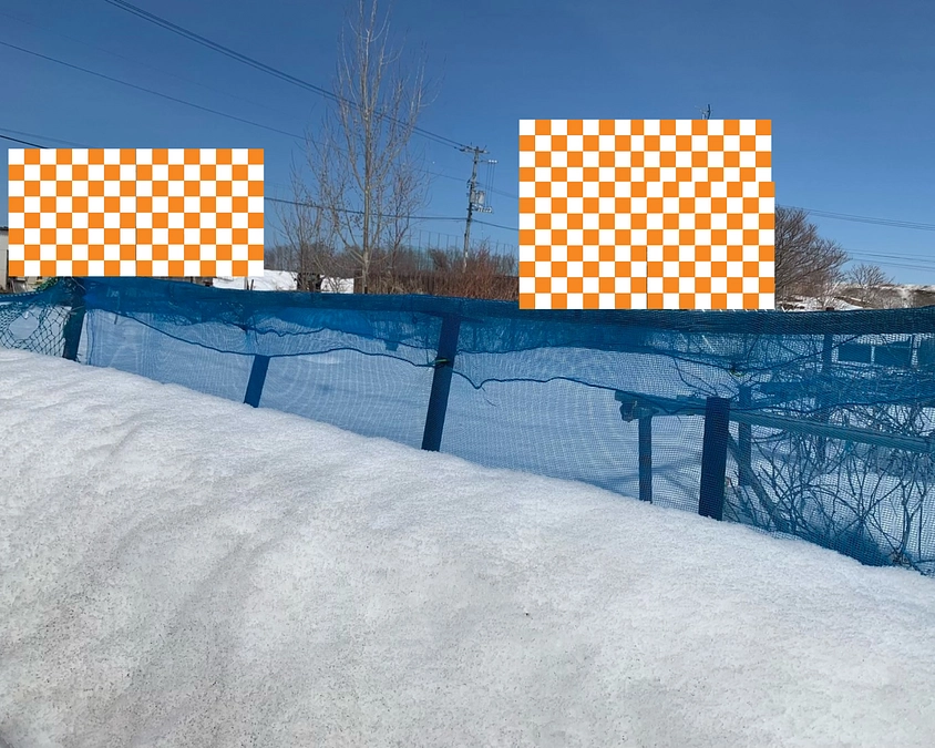 5月のお仕事体験会の企画を準備 - 現地視察へ