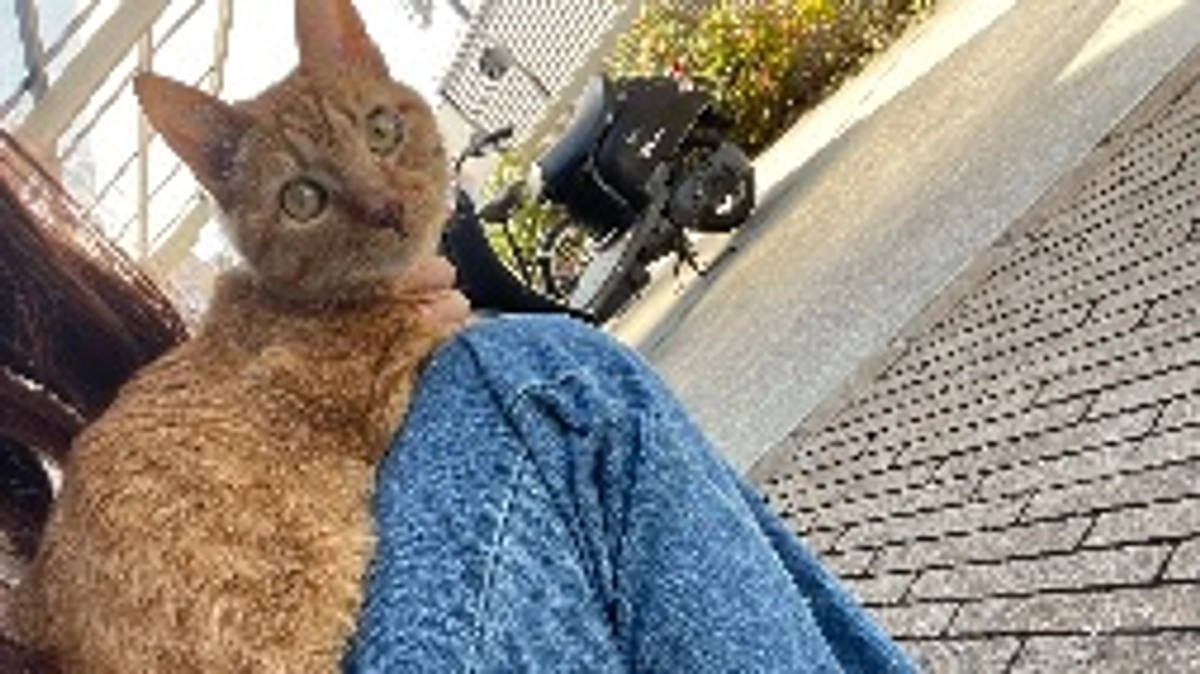 おはよう🌞朝日浴びてる虎徹