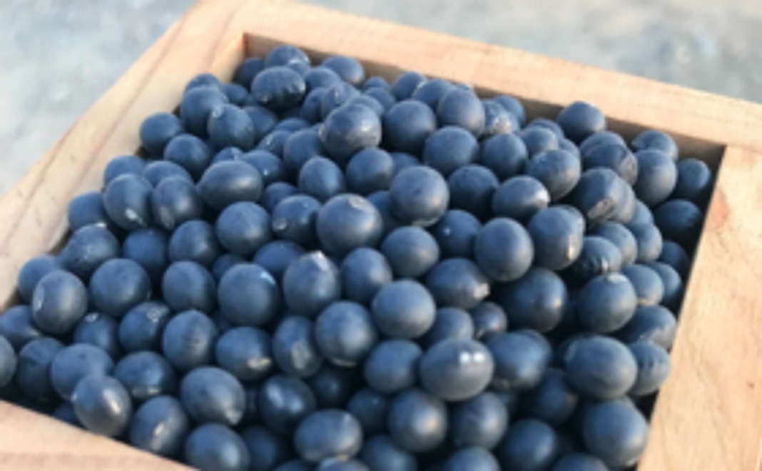 令和4年産 黒千石大豆 200g