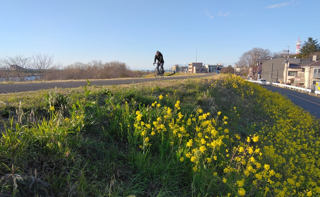 お気持ちコース