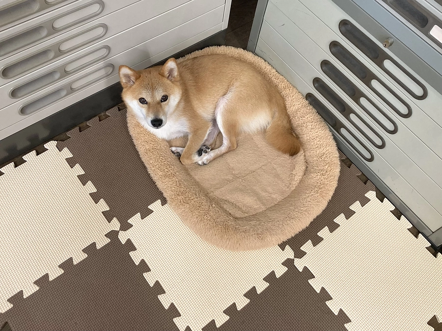 今日は病院お泊まりです【終了まで3日】