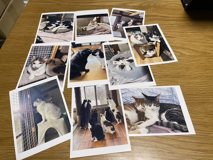 お一人お一人に感謝の気持ちを込めて。こころ星のふるさと納税、出荷がピークを迎えております。