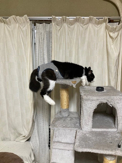 娘の事。。。。。。