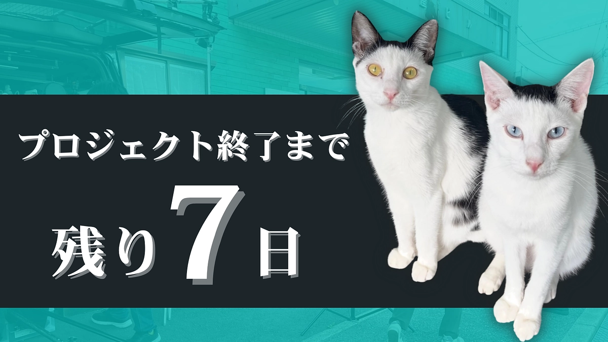 【終了まで、残り7日】このプロジェクトが、未来に繋がると信じて