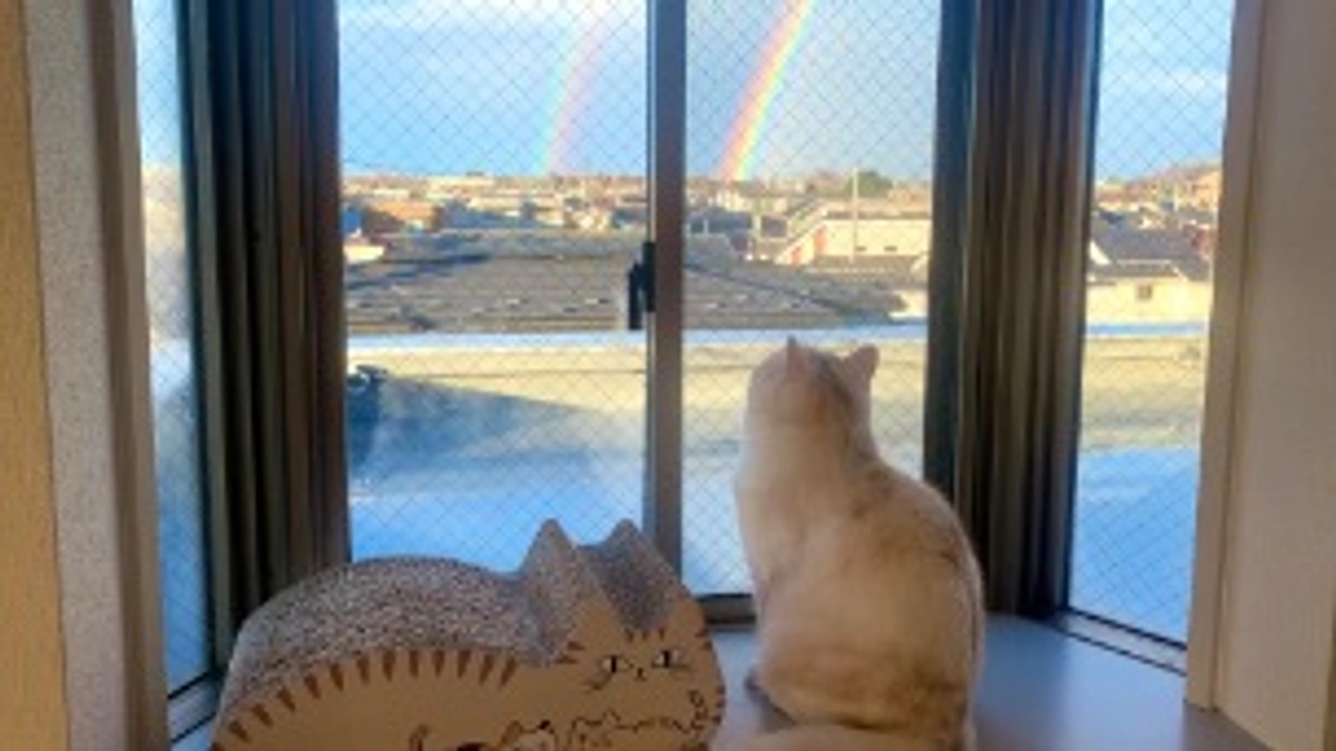 🌈クラファン達成のご報告🌈