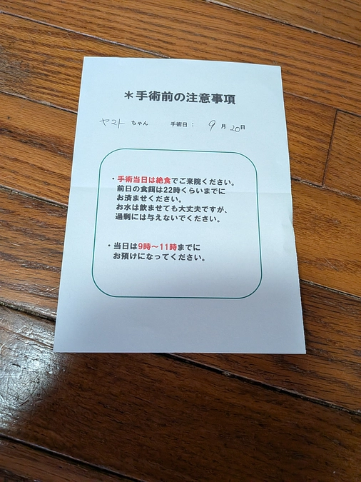 ヤマト君💕　術前検診🏥
