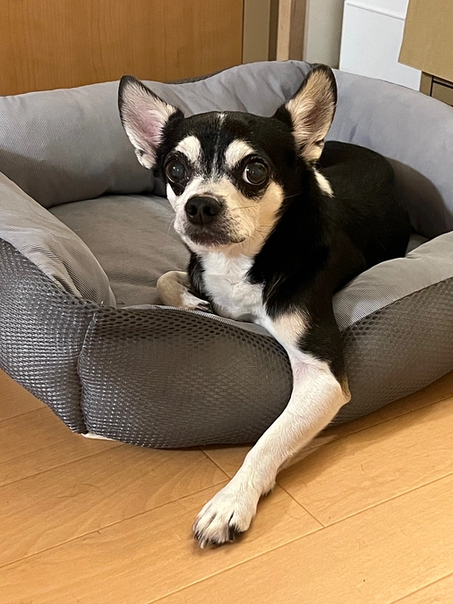 手術まであと39日‼︎