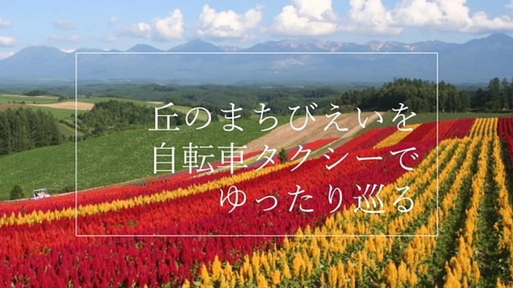 自転車タクシーで「丘のまちびえい」を観光客にご案内したい！