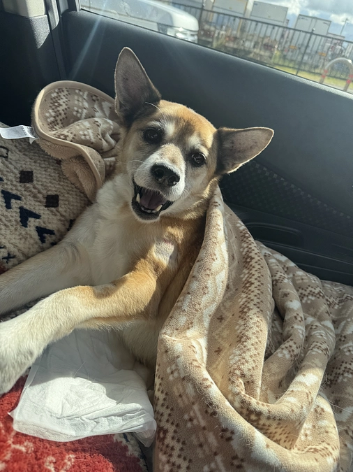 12/19 ☢️放射線治療14回目☢️