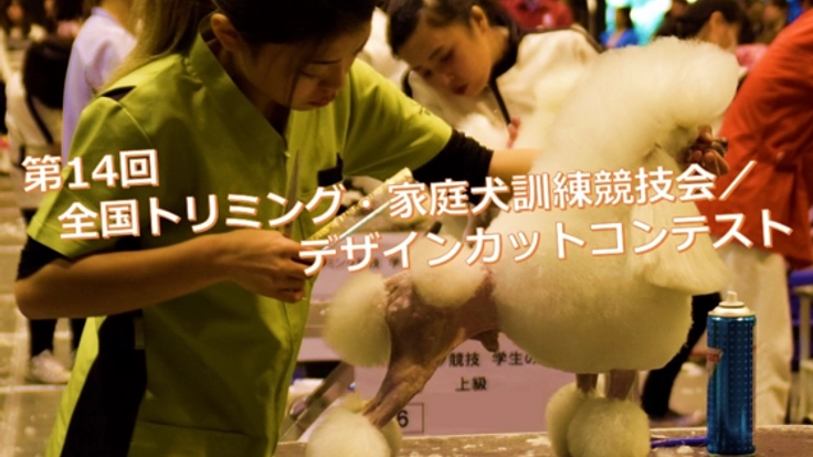 ペットと人が共存する社会に向けた競技会を武道館で開催したい！