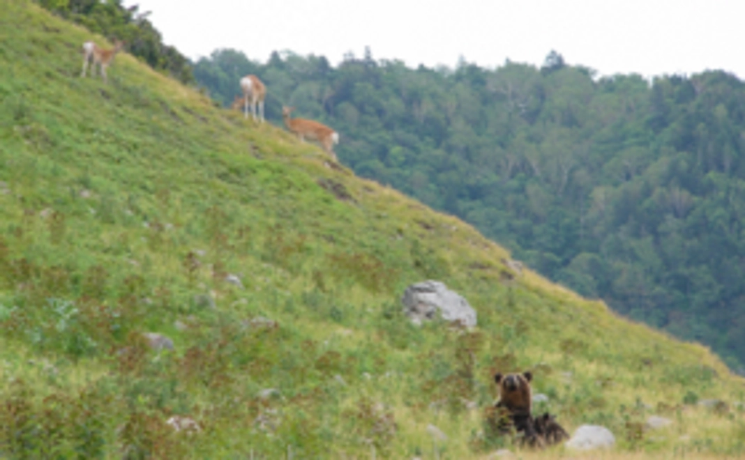 【リターン不要の方向け】お気持ち支援｜5000円