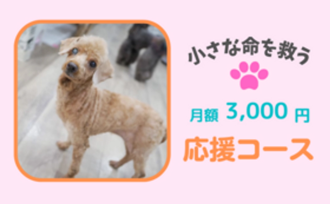 毎月応援！3,000円コース