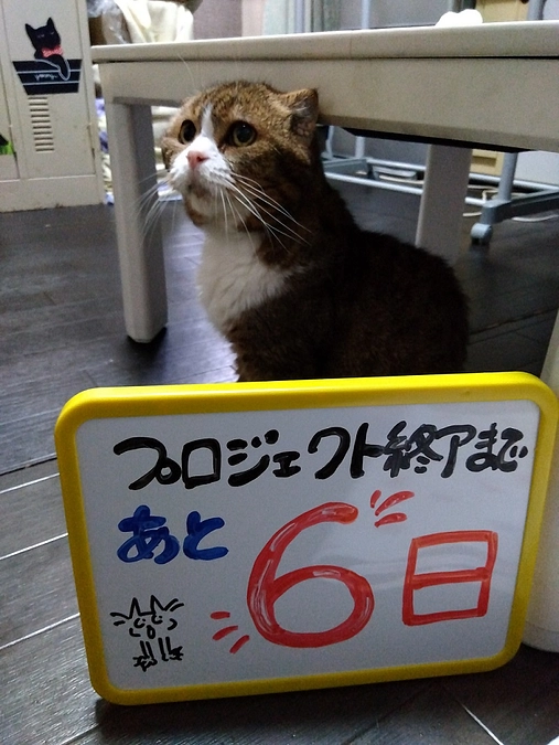 プロジェクト終了まであと6日！保護動物達の紹介⑦秋田犬「みく」