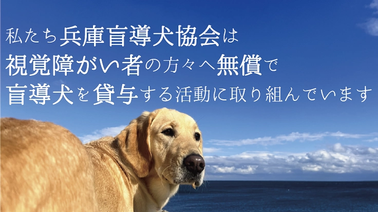 兵庫盲導犬協会｜視覚障がい者のパートナー、盲導犬の育成費にご支援を 3枚目