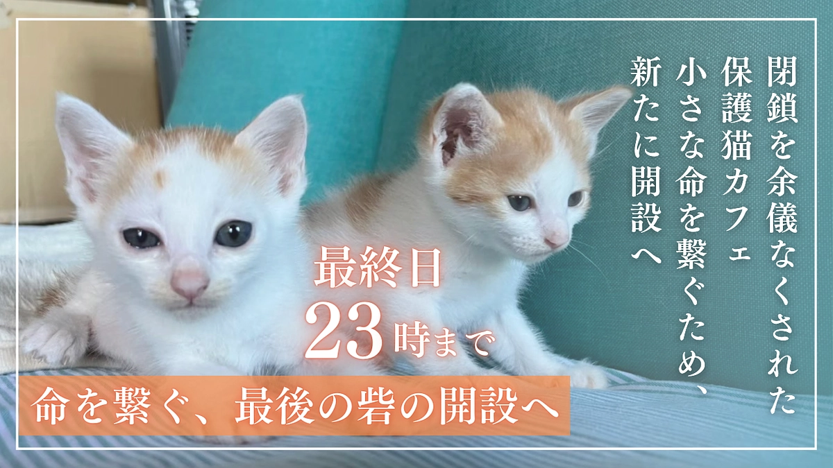 あと9時間！あと70万円で達成！